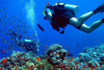 Dive in Montego Bay